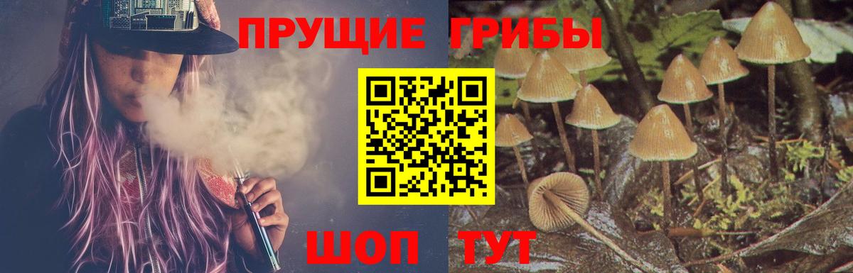 Псилоцибиновые грибы GOLDEN TEACHER Менделеевск